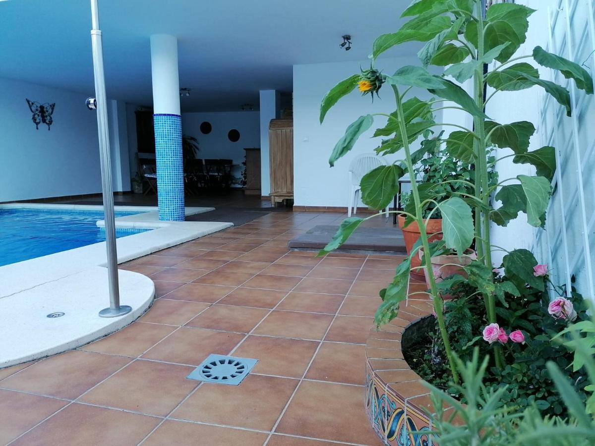 דירות קורטס דה לה פרונטרה Casa Quercus Con Piscina Privada מראה חיצוני תמונה